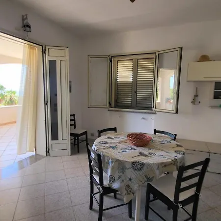Donata * 살베